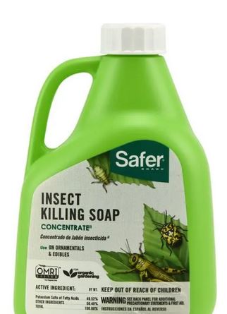 Concentrated Insecticidal Soap