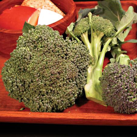 BROCCOLI 'Umpqua'