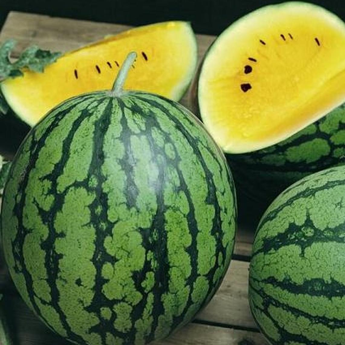 MELON 'Early Yellow Moonbeam Watermelon'
