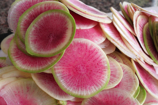 RADISHES 'Watermelon'